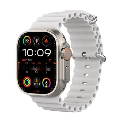 Ein guter Preis. Hallo Watch 4 4G Smart Watch AMOLED Wifi Netzwerk Männer Fotoalbum 16GB ROM 2G RAM Bluetooth Anruf Online